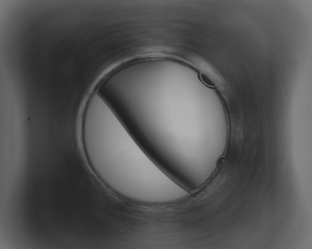 X0000101181384200806270818
