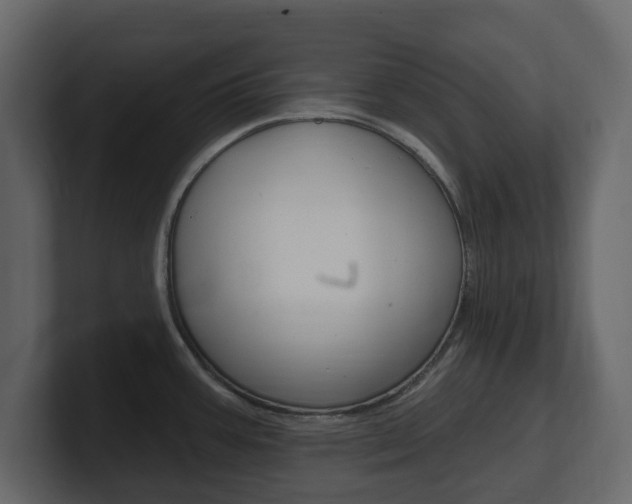 X0000101181387200806270818