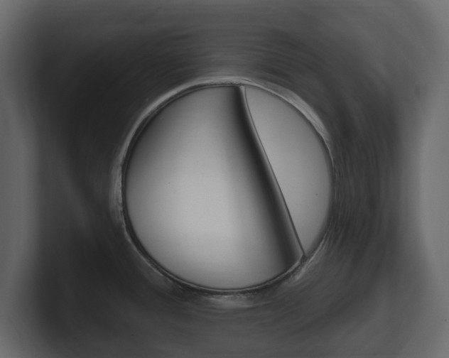 X0000101181388200806270818