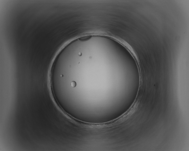 X0000101181389200806270818