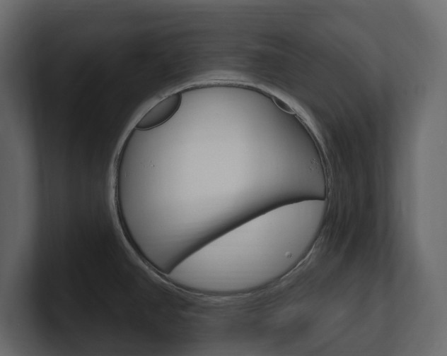X0000101181390200806270818