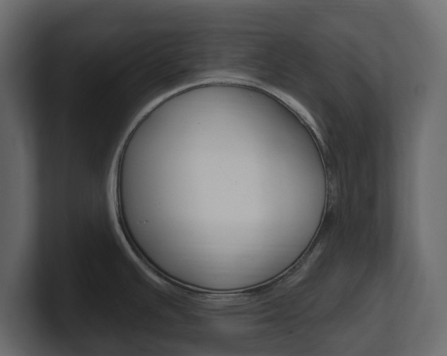 X0000101181391200806270818
