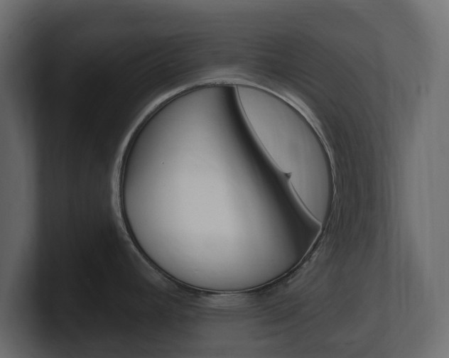 X0000101181392200806270818