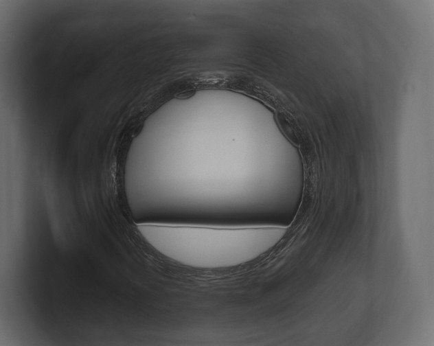 X0000101181394200806270817