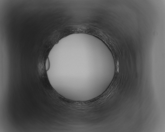 X0000101181395200806270817