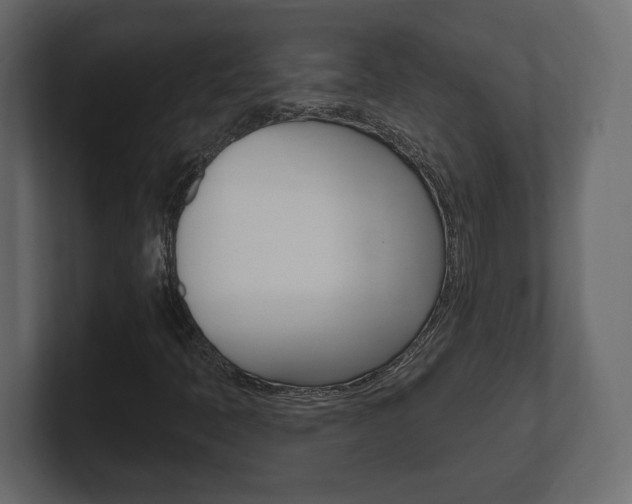 X0000101181397200806270817