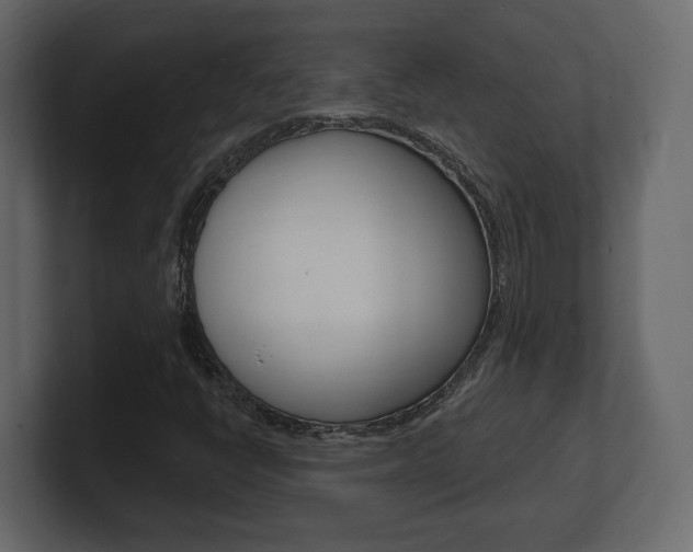 X0000101181398200806270817