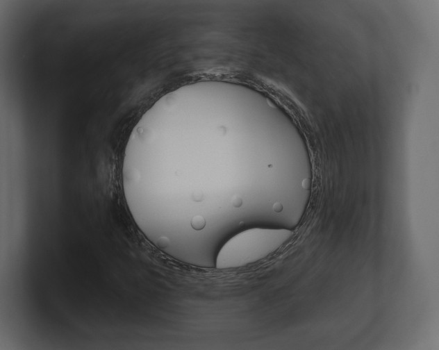 X0000101181399200806270817