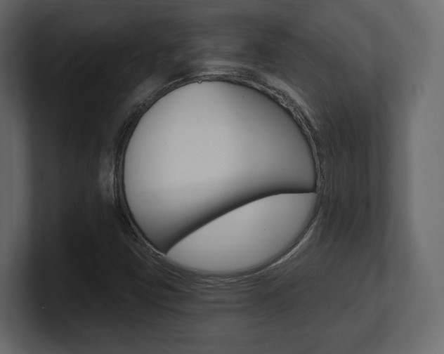X0000101181403200806270817
