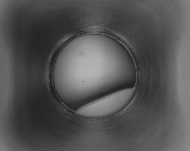 X0000101181410200806270817