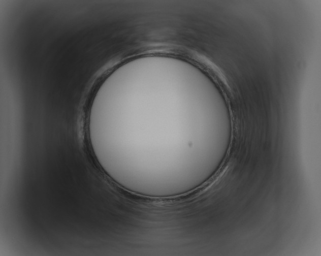 X0000101181411200806270817