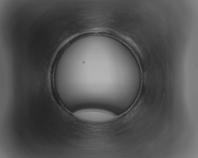 X0000101181412200806270817