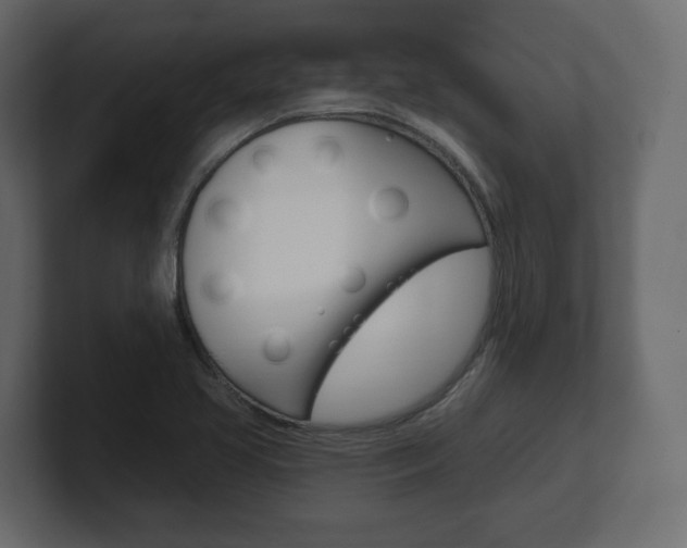 X0000101181413200806270817