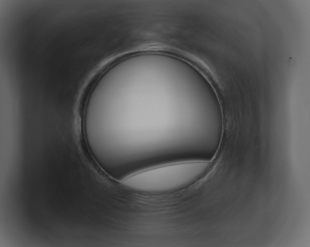 X0000101181414200806270817