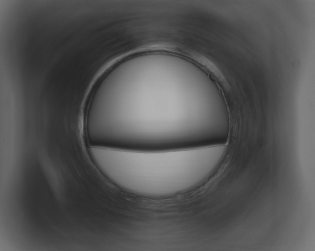 X0000101181420200806270817