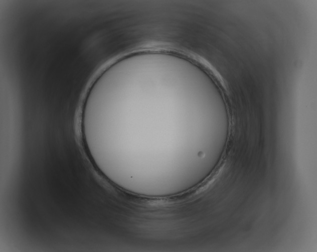 X0000101181421200806270817
