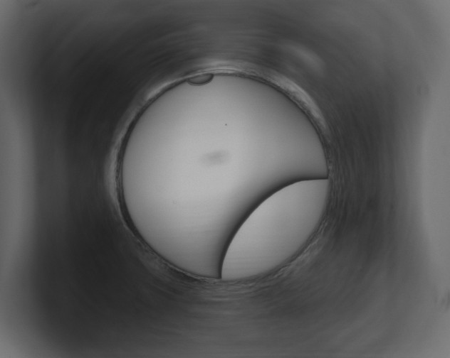 X0000101181427200806270817