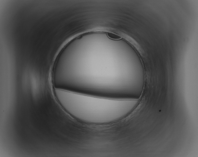 X0000101181428200806270817