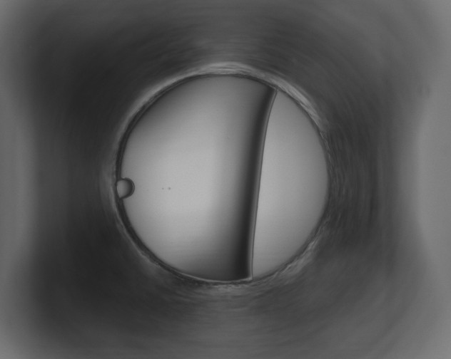 X0000101181430200806270817
