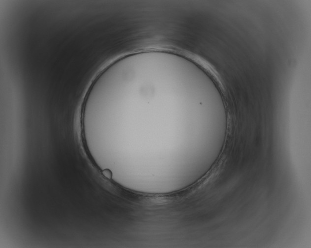 X0000101181431200806270817