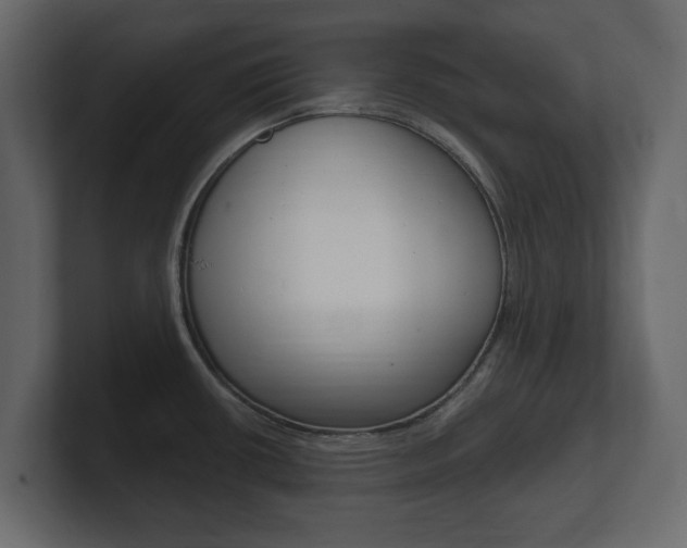 X0000101181434200806270817