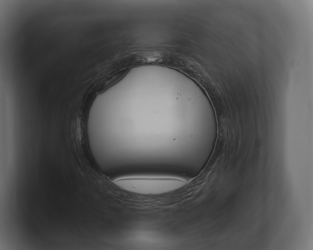 X0000101181442200806270817
