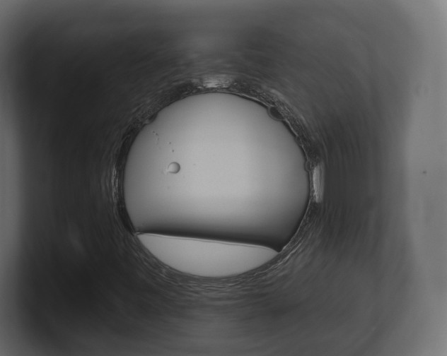 X0000101181443200806270817