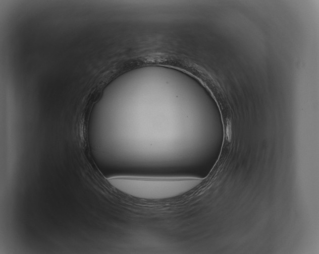 X0000101181444200806270817