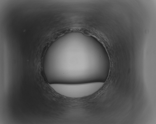 X0000101181445200806270817