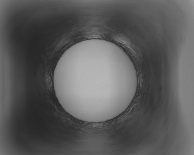 X0000101181446200806270817