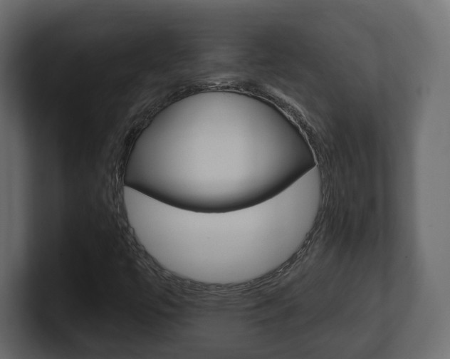 X0000101181447200806270817