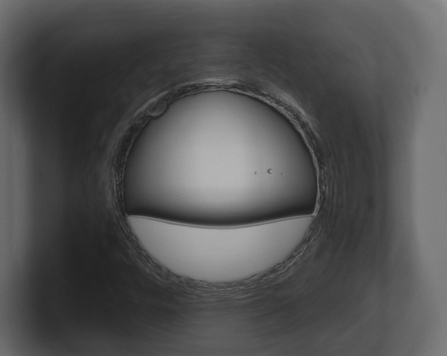 X0000101181448200806270817