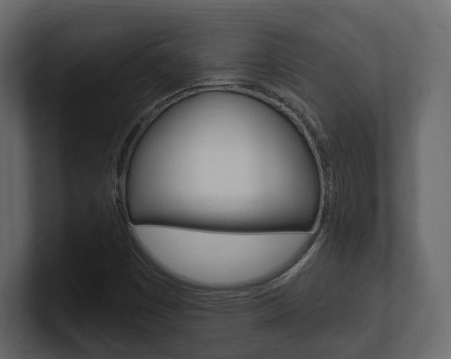X0000101181449200806270817
