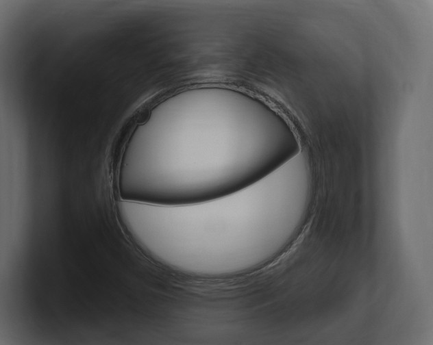 X0000101181450200806270817