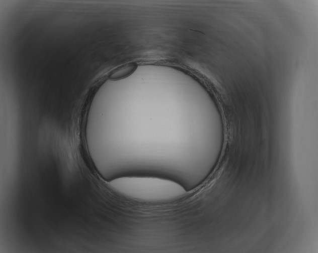 X0000101181451200806270817