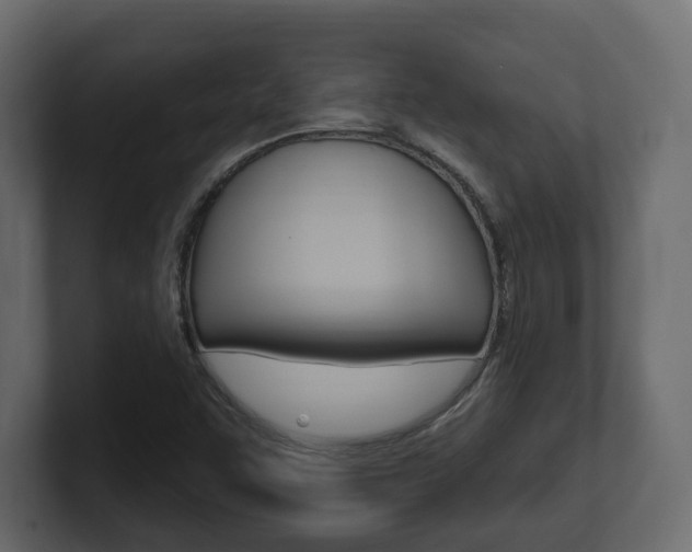 X0000101181455200806270817