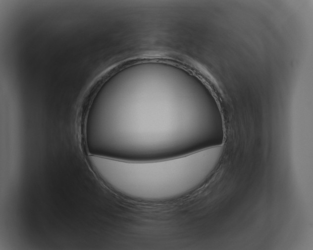 X0000101181456200806270817