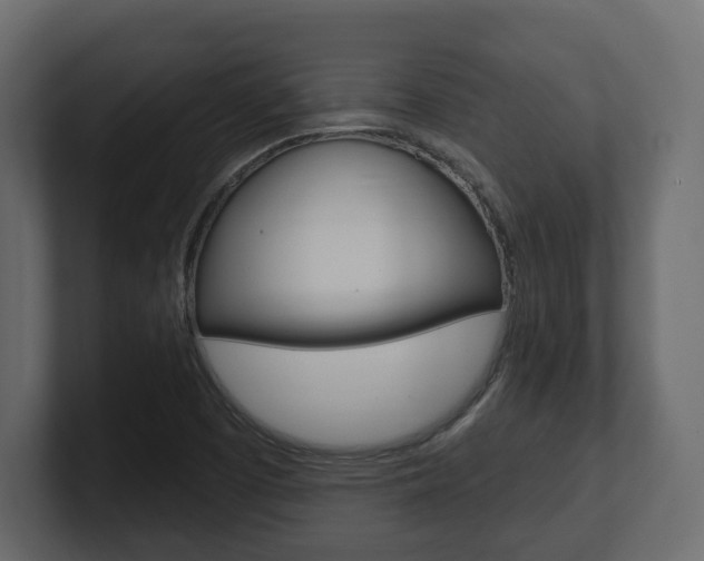 X0000101181457200806270817