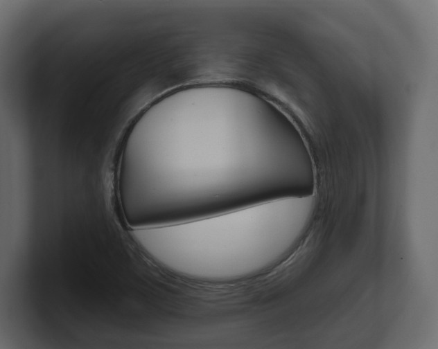 X0000101181459200806270817
