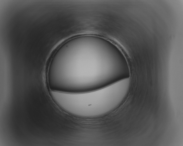X0000101181460200806270817