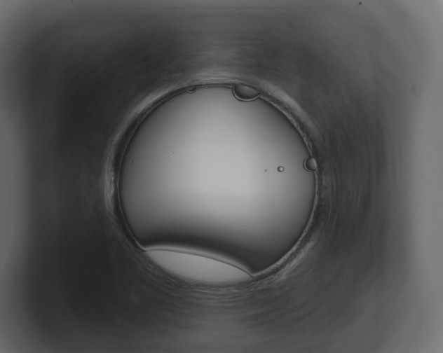 X0000101181461200806270817