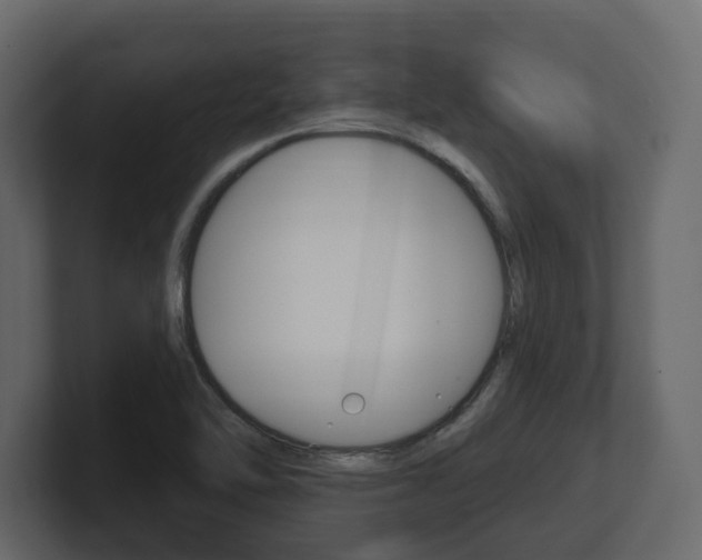 X0000101181462200806270817