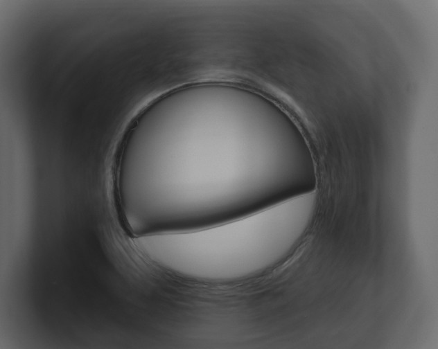 X0000101181463200806270817