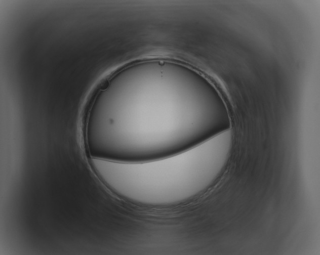 X0000101181464200806270817
