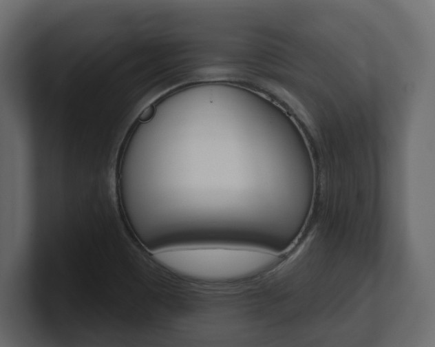 X0000101181465200806270817