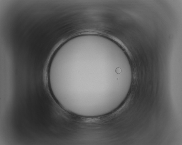 X0000101181466200806270817