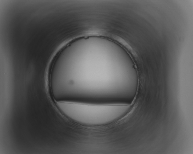 X0000101181469200806270817