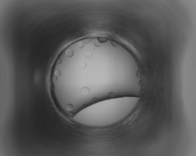 X0000101181471200806270816