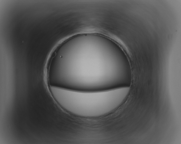 X0000101181472200806270816