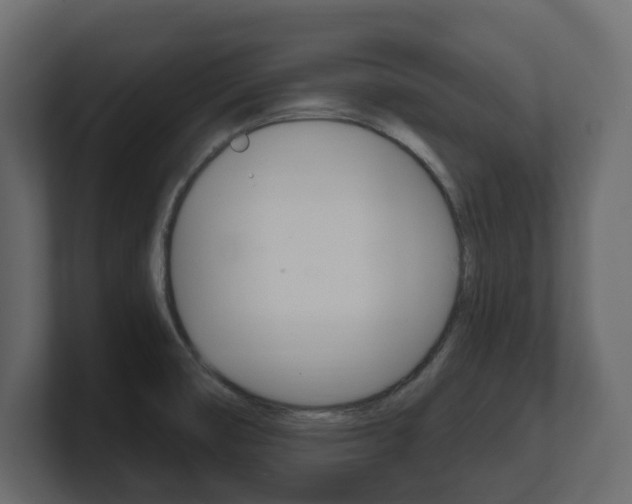 X0000101181474200806270816
